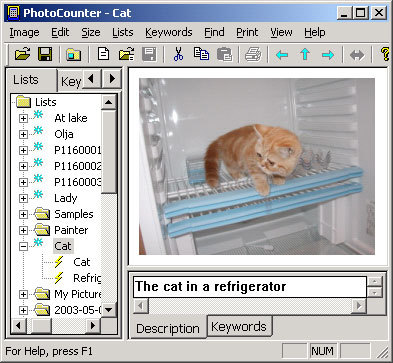 PhotoCounter Screenshot